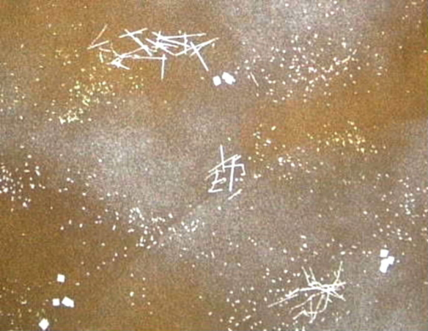 $BFCA*NA;f!!Au>~NA;f!!A4LL6b6d:=;R?6!!Cz;z?'!!ItJ,3HBg(B
