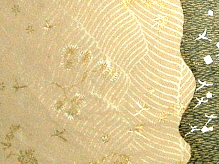 $B;0==O;?M=8!!!XMeLf$N@n!Y!!!J85Je=8!K!!ItJ,3HBg(B