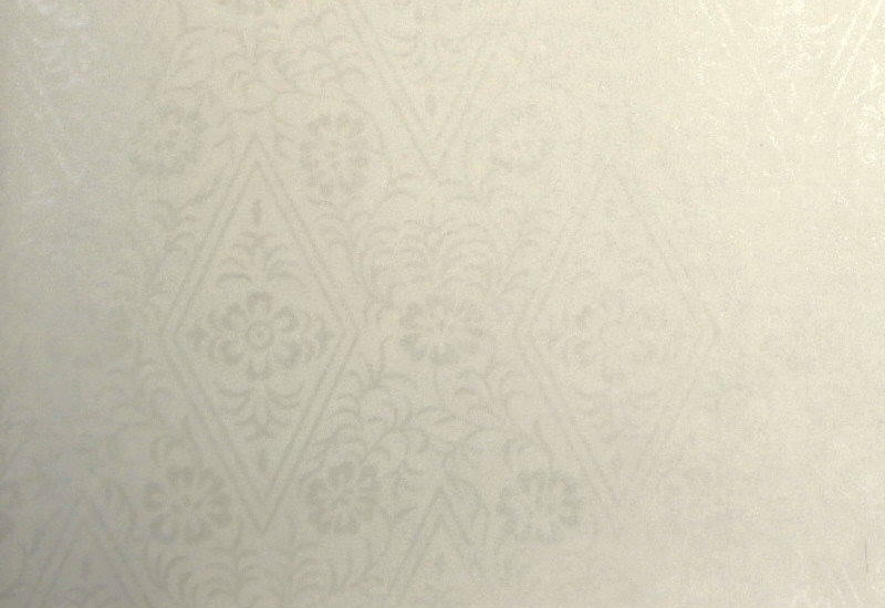 清書用 臨書用紙　元永古今集　白　具引唐紙（白雲母摺）　『菱唐草』　左下側部分拡大