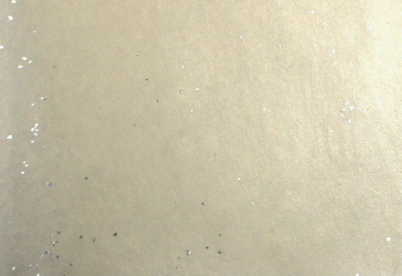 元永古今集 第四十二紙裏面　染・極薄茶（中）　『金銀小切箔振』　左下側部分拡大
