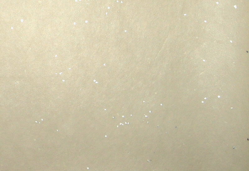 元永古今集 第四十三紙裏面　染・極薄茶（淡）　『金銀小切箔振』　右下側部分拡大
