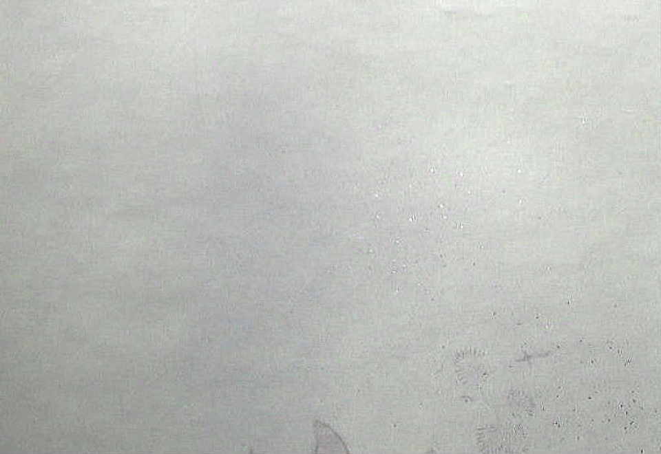 $BFCA*NA;f!!Au>~NA;f!!H>2{;f!!_n6d?'6d0A7?BG!!!XD3!9!Y!!E7$N@nIw:=;R?6!!:8>eB&ItJ,3HBg(B
