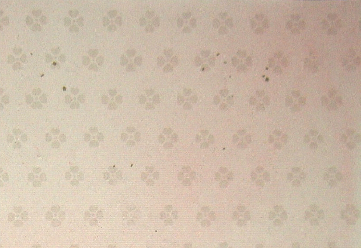 $BFCA*NA;f!!Au>~NA;f!!H>2{;f!!ItJ,$\$+$7!!6q0zEb;f!!!XG_H-Lf!Y!!@D6bFCBgGsCV$-!!1