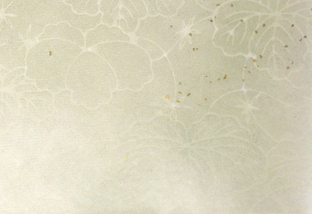 $BFCA*NA;f!!Au>~NA;f!!H>2{;f!!ItJ,$\$+$7!!LxMU?'!!1@Jl0zEb;f!!!X6M$NMU!Y!!6bFCBgGsCV$-!!<e8w$G$N8+$(J}!!1&2<B&ItJ,3HBg(B