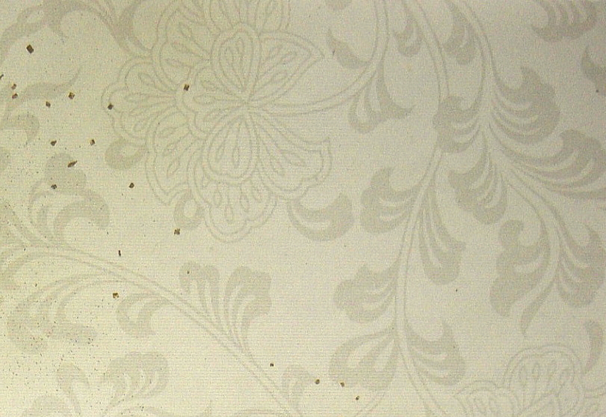 $BFCA*NA;f!!Au>~NA;f!!H>2{;f!!ItJ,$\$+$7!!LxMU?'!!6q0zEb;f!!!XBg2VEbAp!Y!!@D6bFCBgGsCV$-!!1&>eB&ItJ,3HBg(B