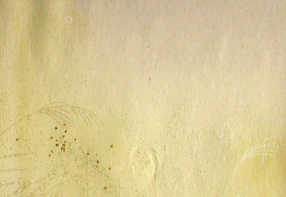 $BFCA*NA;f!!Au>~NA;f!!H>2{;f!!ItJ,$\$+$7!!=B<cAp?'!!6q0zEb;f!!!X=)Ap!Y!!@D6bFCBgGsCV$-!!1&>eB&ItJ,3HBg(B