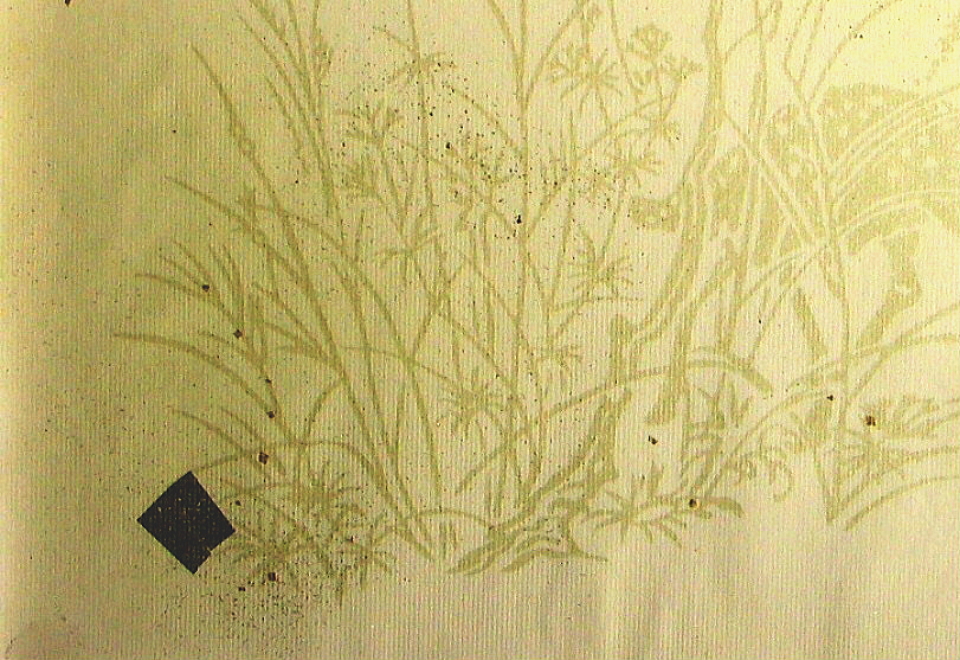 $BFCA*NA;f!!Au>~NA;f!!H>2{;f!!ItJ,$\$+$7!!=B<cAp?'!!6q0zEb;f!!!X=)Ap!Y!!@D6bFCBgGsCV$-!!1