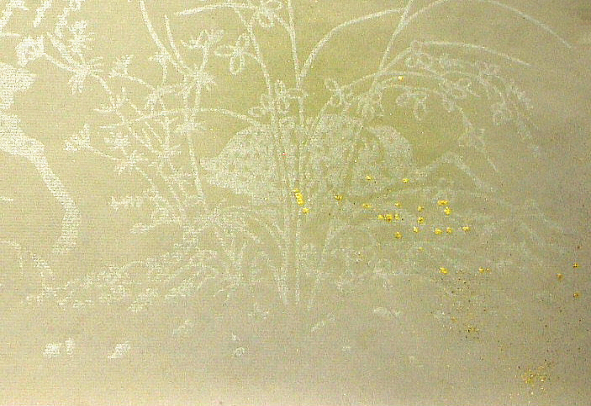 $BFCA*NA;f!!Au>~NA;f!!H>2{;f!!ItJ,$\$+$7!!=B<cAp?'!!6q0zEb;f!!!X=)Ap!Y!!@D6bFCBgGsCV$-!!8w$r<u$1$F$N8+$(J}$X(B