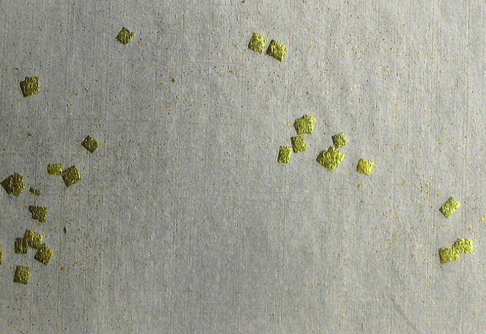 $BFCA*NA;f!!Au>~NA;f!!H>2{;f!!ItJ,$\$+$7!!@D3%?'!!6q0z;f!!!X=D2#6ZF~!Y!!@D6bBg>.@ZGs:=;R?6!!:82<B&!!8w$r<u$1$F$N8+$(J}!!@D6bBg@ZGsItJ,3HBg$X(B