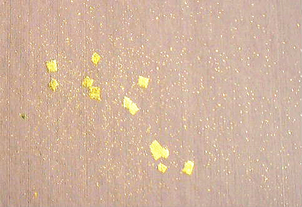 $BFCA*NA;f!!Au>~NA;f!!H>2{;f!!ItJ,$\$+$7!!8EBe;g?'!!6q0z;f!!!X=D2#6ZF~!Y!!6bBg>.@ZGs:=;R?6!!:82<B&!!8w$r<u$1$F$N8+$(J}!!6bBg@ZGsItJ,3HBg(B