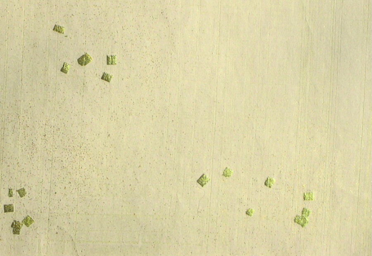 $BFCA*NA;f!!Au>~NA;f!!H>2{;f!!ItJ,$\$+$7!!Gv?e3%?'!!6q0z;f!!!X=D2#6ZF~!Y!!@D6bBg>.@ZGs:=;R?6!!:82<B&!!8w$r<u$1$F$N8+$(J}$X(B