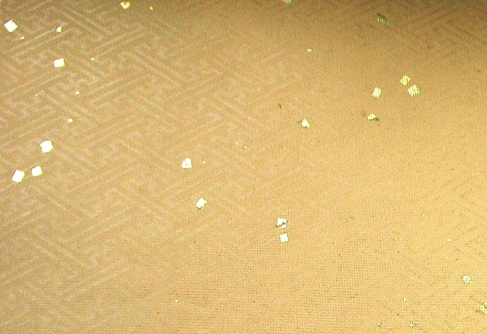 $BFCA*NA;f!!Au>~NA;f!!H>2{;f!!Gv9a?'!!6q0zEb;f!!!XA4%m!<%;%s!Y!!@D6bCf>.@ZGs?6!!:8>eB&ItJ,3HBg!J<e8w$r<u$1$F$N8+$(J}!K$X(B